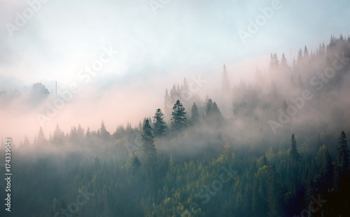 Plakat widok świt dolina góra wzgórze