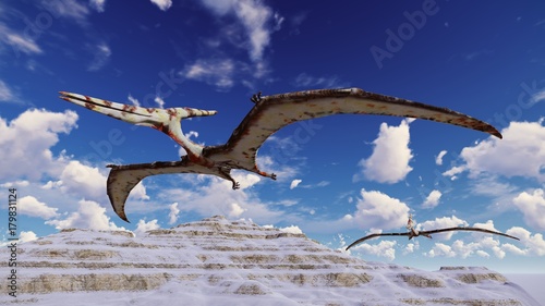 Fototapeta ptak dinozaur zwierzę natura gad