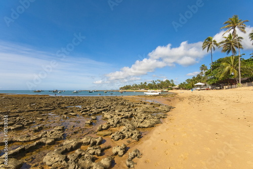 Fotoroleta wybrzeże tropikalny plaża