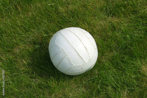 Fototapeta trawa sport piłka siatkówka