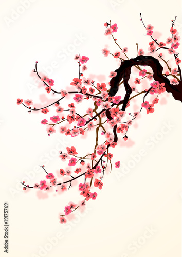 Plakat japoński sztuka wiśnia