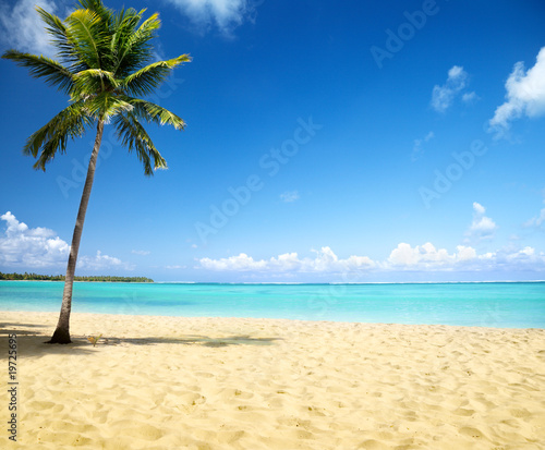 Fotoroleta wyspa pejzaż woda tropikalny plaża