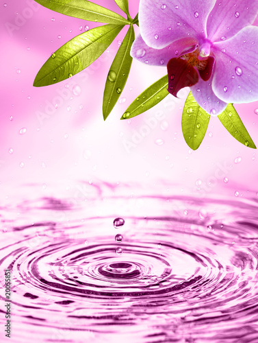 Plakat Motywy wellness z orchideą