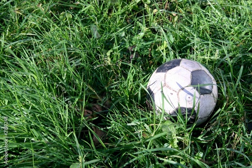 Fototapeta zabawa trawa narodowy piłka nożna zdrowie