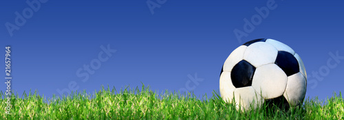 Obraz na płótnie trawa piłka sport piłka nożna