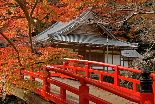 Plakat świątynia drzewa jesień most japoński