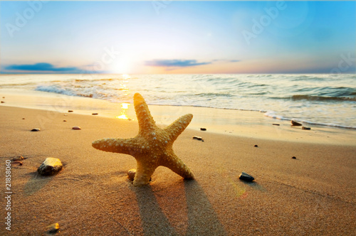 Plakat Rozgwiazda na plaży