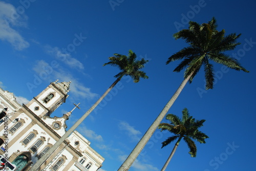 Fototapeta brazylia palma klasztor natal orzech kokosowy