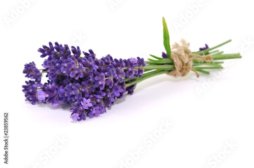 Fototapeta kwiat aromaterapia bukiet lawenda fitness