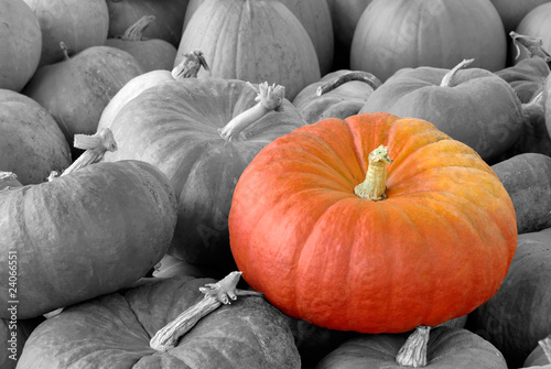 Obraz na płótnie owoc warzywo jesień