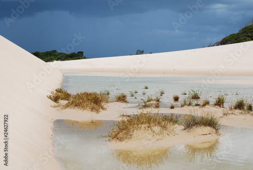 Fotoroleta narodowy plaża brazylia park