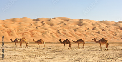 Fotoroleta pejzaż natura pustynia spokojny