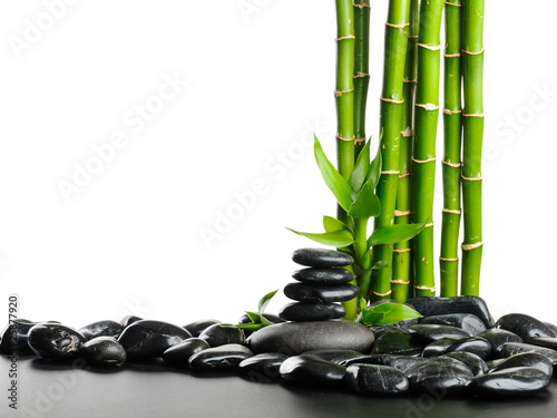 Naklejka bambus woda medycyna