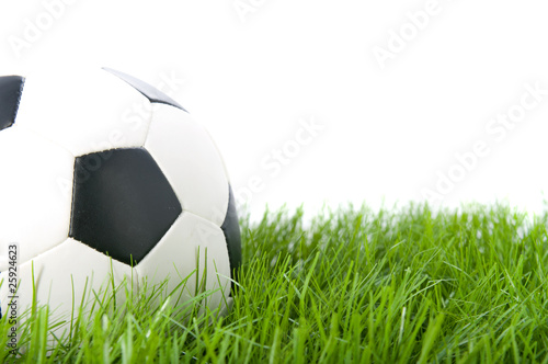 Fototapeta sport trawa piłka nożna sportowy piłka