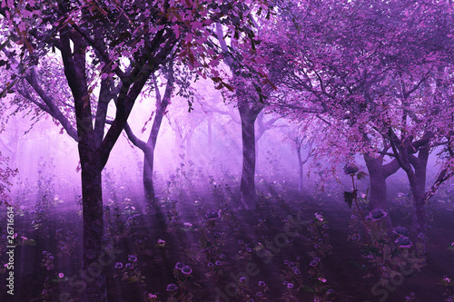 Obraz na płótnie las fiołek drzewa