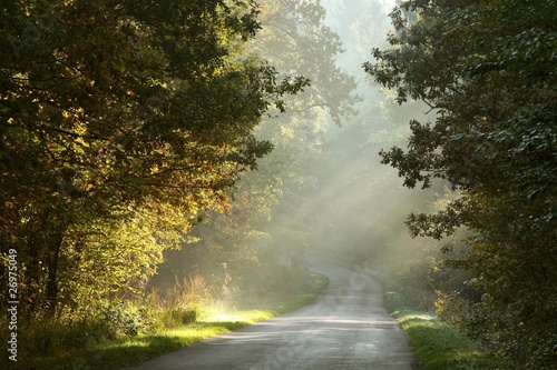 Fotoroleta las świt wieś jesień dąb