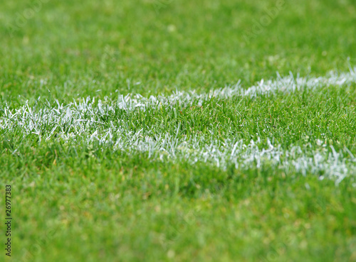 Obraz na płótnie stadion trawa stadion piłkarski