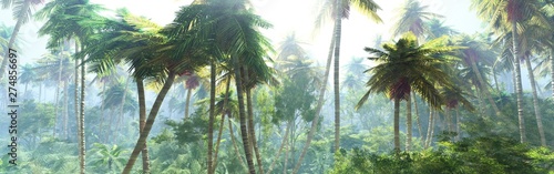 Fotoroleta panorama piękny niebo dżungla