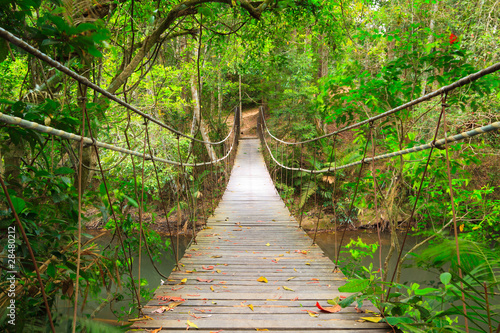 Naklejka Wiszący most w dżungli