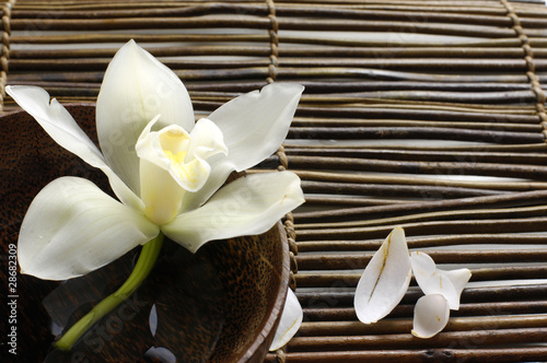 Fotoroleta Biała orchidea w misie