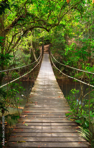 Fotoroleta Bridge to the jungle,Khao Yai national park,Thailand