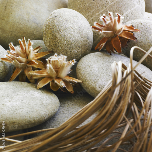 Plakat masaż kwiat zen
