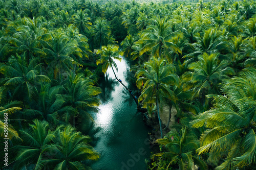 Plakat widok drzewa zabawa wyspa tropikalny