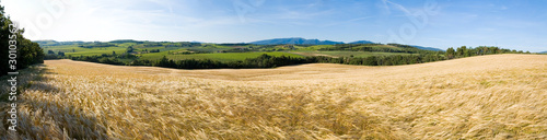 Fotoroleta rolnictwo jedzenie europa żniwa wzgórze