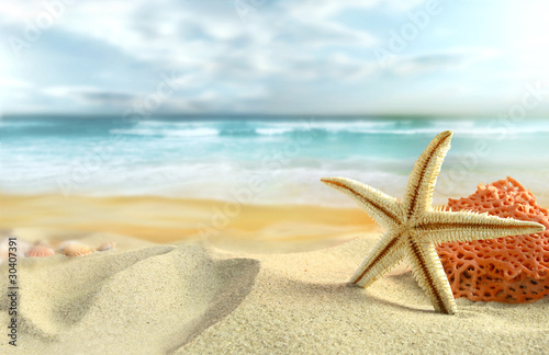Fototapeta Rozgwiazda na piaszczystej plaży