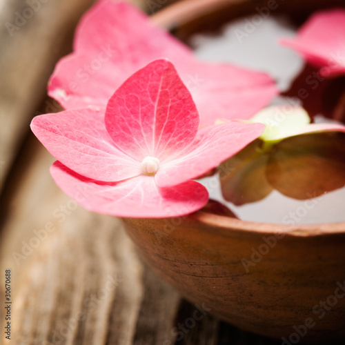 Plakat spokojny zen kwiat zdrowie