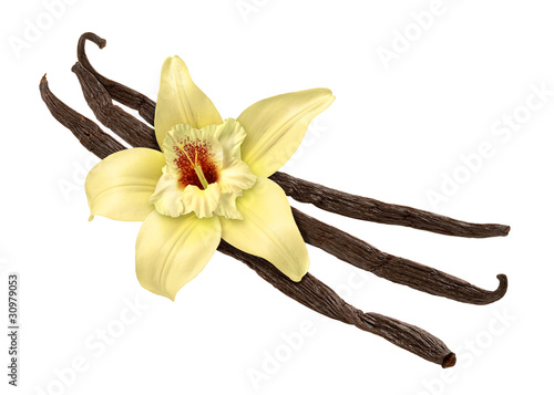 Naklejka jedzenie kwiat wanilia aromaterapia