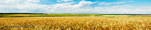 Obraz na płótnie wieś ziarno rolnictwo panoramiczny