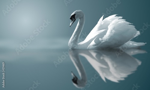 Fotoroleta ptak woda sztuka piękny