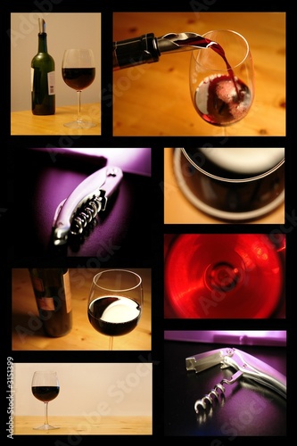 Fotoroleta dąb winnicy pitnej wino