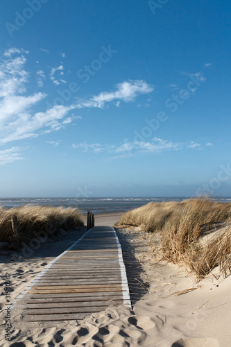 Fotoroleta plaża wydma wybrzeże