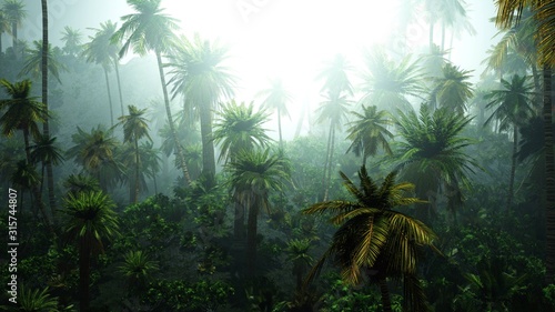 Fotoroleta tropikalny dżungla lato