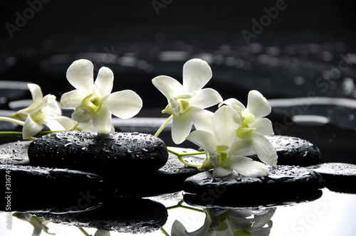 Fototapeta Medytacyjne kamienie i orchidee