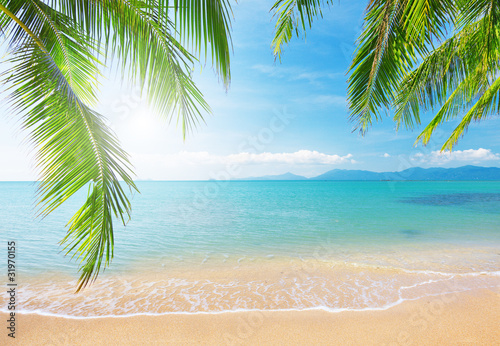 Naklejka Palma na tropikalnej plaży