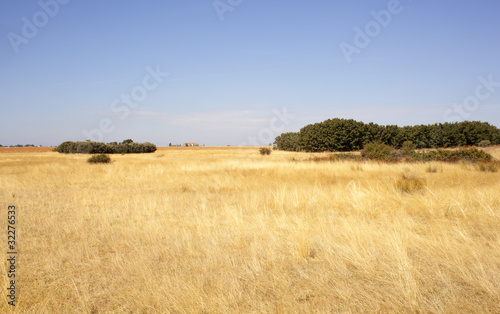 Fotoroleta słoma widok hiszpania pole żniwa