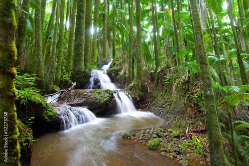 Fotoroleta las roślinność hawaje kaskada