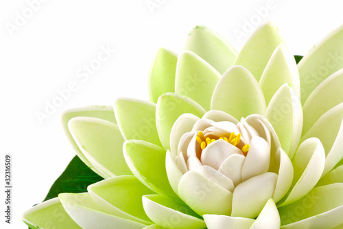 Obraz na płótnie kwiat zen ogród azja