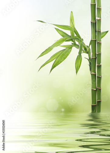 Naklejka bambus azja spokojny