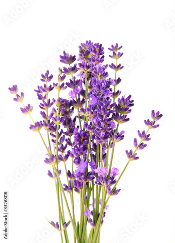Fotoroleta kosmetyk medycyna kwiat roślina świeży