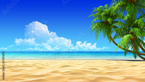 Fototapeta Palmy i czysty tropikalny piasek na plaży