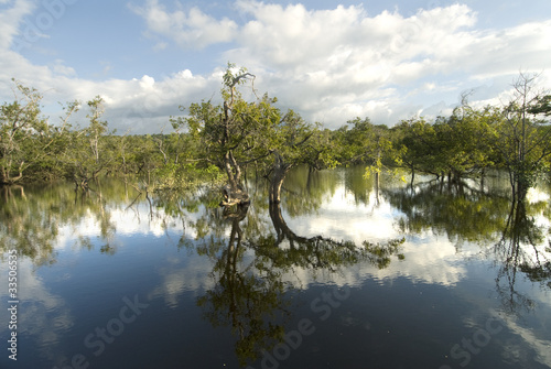 Fototapeta woda ameryka południowa brazylia