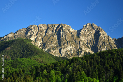 Obraz na płótnie tatry las widok wzgórze zespół