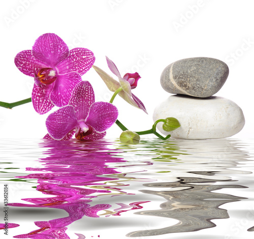 Obraz na płótnie woda wellnes kwiat