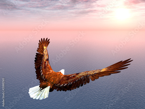 Naklejka zwierzę niebo 3D ptak morze
