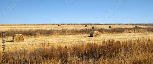 Fotoroleta rolnictwo jesień siano pejzaż żniwa