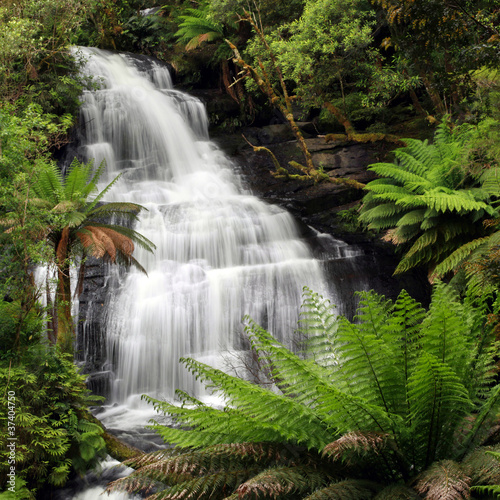 Fotoroleta wodospad australia las australijska